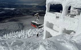 Image result for Hakkoda Walk