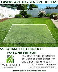 Pyramid S Tips Did You Know That Your Lawn Can Produce All The Oxygen You And Your Family Need 55 Square Feet Of Turf Grass Is Enou Lawn Care Turf Grass Lawn