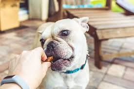 Maybe you would like to learn more about one of these? Best Online Pet Supplies Winners 2020 Usa Today 10best