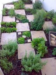 Schachbrett Krauterbeet Fur Kreative Gartner Mit Bildern Garten Garten Pflanzen Garten Ideen