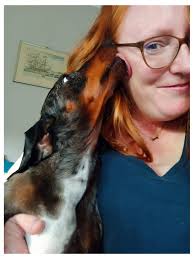 My bestfriend is better than yours🥺❤️ #dachshundpuppy  #dachshundappreciation #dachshundsonly