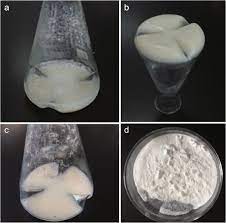 By looking at their past. Culture Broth Of Wild Type And Strain 4 C10 A Culture Broth Of Strain Download Scientific Diagram
