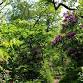 Living with Nature at Wintergreen- June 13, 2026
