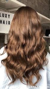 20 Classic Chestnut Brown Clip Ins 20 220g Brown Hair Shades Hair Color Light Brown Brown Hair Colors