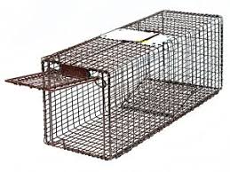Resource provides suggestions on traps and trapping instructions. Feral Cat Traps Small Animal Traps Tru Catch Traps
