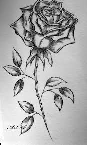 Singe Rose Rose And Butterfly Tattoo Roses Drawing Flower Drawing