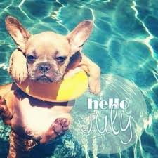 Hello July July Hello July Welcome July July Quotes Hello July Images July Images July Pictures Cute Animals Animals Cute Puppies