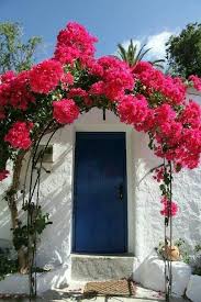 19 Ideas Of Colorful Garden You Can T Wait To Have Mybabydoo Bougainvillea Trellis Bougainvillea Flowers Perennials