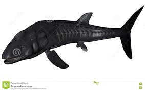 Image_caption = leedsichthys problematicus & liopleurodon leedsichthys problematicus was a giant pachycormid (an extinct group of mesozoic bony fish) that. Prahistorische Fische Leedsichthys 3d Ubertragen Stock Abbildung Illustration Von Hintergrund Fische 75631500