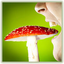 Image result for Hallucinogen