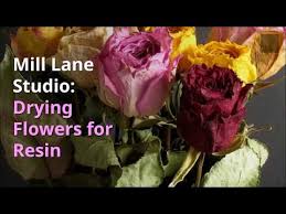 Drying your favorite garden flowers isn't difficult. Pin By Cindy Burright On 11111aaaaa Resin In 2020 Dried Flowers Silica Gel Flowers