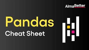 Image result for Pandas cheatsheet