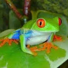 Cornell university press fosters a culture of broad and sustained inquiry through the publication of scholarship that is engaged, influential, and of lasting significance. Sam Cassaniti On Twitter The Perfect Shot