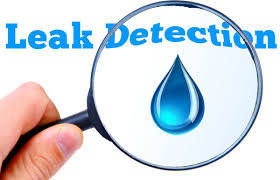 Can this detector spot water pipe leak 2 feet under cement slab? Water Leak Detection M T Plant Hire