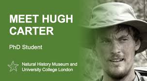 Ally Irwin (@AllyIrwin4)