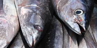 Das blaue siegel mit dem stilisierten fisch wird vom marine stewardship council (msc) vergeben, einer gemeinnützigen organisation, die 1997 vom world wide fund for nature (wwf). Ist Das Msc Siegel Glaubwurdig