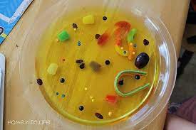 Most relevant best selling latest uploads. Animal Cell Model Ideas For Your Science Project Easy And Creative Animal Cells Model Cell Model Animal Cell Model Project