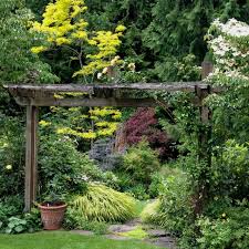 A Northwest Garden I Love The Gateway And The Japanese Forest Grass Layer Around Grape Arbor Landscape Design Lawn And Landscape Beautiful Gardens