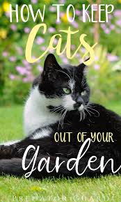 How To Keep Cats Out Of Your Garden Predator Guard Predator Deterrents And Repellents Cats Cat Repellant Garden Organic Gardening