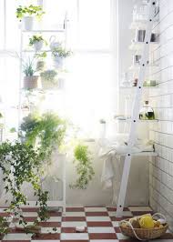 Porte Serviette Hjalmaren Ikea Plant Shelves Bathroom Plants Ikea Plants