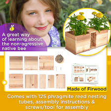 Rivajam Build a Bee House Planter Box DIY Flatpack Kit