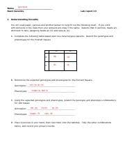 Genetics Lab 13 Pdf Tyler Scott Name Basic Genetics Lab