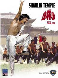 مهد الكونغ فو وأعتى معسكرات الفنون القتالية بالعالم. Remake Of Shaolin Temple To Start Soon Social Parivar