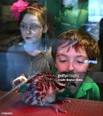 446 Boston Childrens Museum Stock Photos, High-Res Pictures, and Images