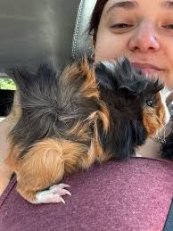 My sons best friend🤎