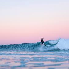 Image result for Surfing