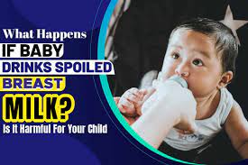 What Happens If Baby Drinks Spoiled Breast Milk Is It Harmful For Your Child