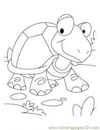 The tortoise is a magnificent creature. Tortoise Coloring Page4 Coloring Page For Kids Free Turtle Printable Coloring Pages Online For Kids Coloringpages101 Com Coloring Pages For Kids