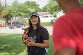 Maybe you would like to learn more about one of these? Everyone Wants A Rescue Dog Not Everyone Can Have One The New York Times