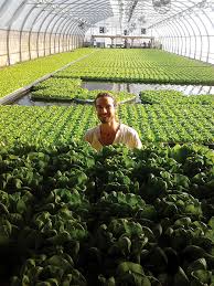 Aquaponics The Future Or A Niche Aquaculture North America