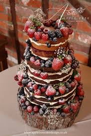 Let Celebrate At Snug Harbor Host Your Next Special Event Wedding Cake Options Wedding Cake Fresh Flowers Fruity Cake