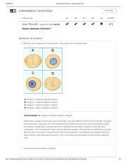 Worksheets are section 102 cell division, cell structure exploration activities, cell energy cycle gizmo answer questions ebooks pdf, amoeba sisters recap of meiosis answer key, the carbon cycle teacher led lesson plan, student. Cell Division Gizmo Explorelearning Assessment Questions Print Page Questions Answers 1 Place The Four Images From The Cell Cycle In The Correct Course Hero