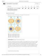 We did not find results for: 54 Cell Division Answer Key Vocabulary Cell Division Centriole Centromere Chromatid Chromatin Chromosome Cytokinesis Dna Interphase Mitosis Prior Course Hero