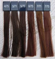 Wella Koleston Perfect Deep Browns Jpg 875 945 Rengarenk Sac Sac Rengi Fikirleri Sac Renkleri