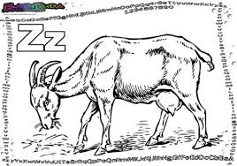 Abc Buchstaben Malvorlage Tiere Zum Ausmalen Babyduda