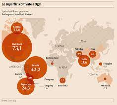 Sono in commercio piante ogm coltivate su oltre 190 milioni di ettari in tutto il mondo, pari al 12% delle coltivazioni mondiali. Virtual School By Martadalmas3 On Emaze