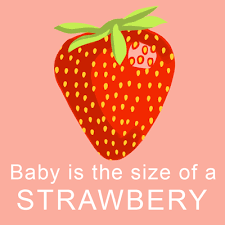 Pin On What Size Is My Baby