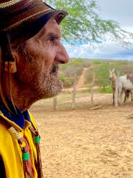 Daniel Gonzaga (@danielgonzaga)