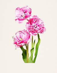 Grab the latest working flowers by zoe coupons, discount codes and promos. The Photobook The Most Beautiful Flowers By Kenji Toma Homage To One Of The Most Well Regarded Flower Encyclopedias Of The 19th Century Kehrer Verlag