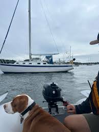 Hello everyone, I'm up to replace all original lifelines