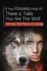 11 Signs You Re A Wolf Surrounded By A Flock Of Sheep Wolf Facts About Wolves Wolf Mates