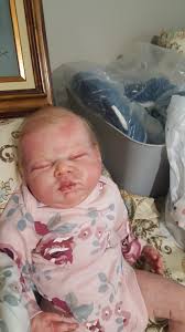 Robyn's Nest Reborn Nursery