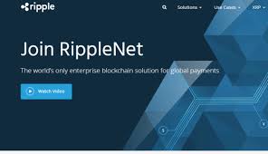 What is the best cryptocurrency to invest in 2021? The Ultimate Ripple Guide For Beginners
