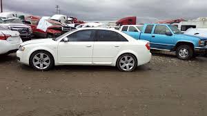 Image result for Arctic White 2004 A4