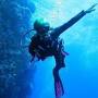 Koh Samet Scuba diving from www.holidify.com