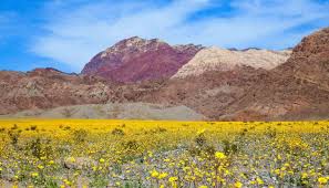 Use them in commercial designs under lifetime, perpetual & worldwide rights. Valley Of Fire Death Valley Tour Usa Radtouren